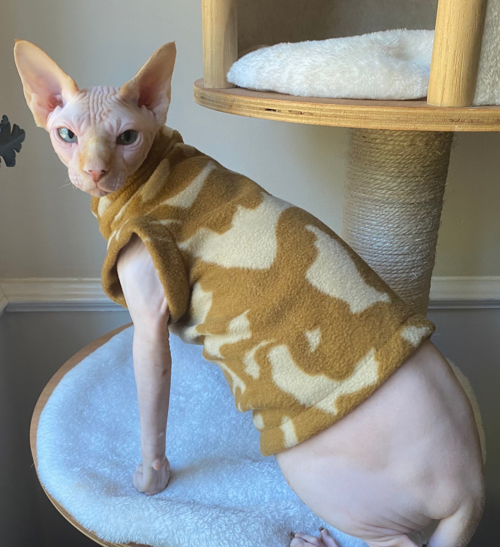 Sphynx Cat Clothes Hairless Cat Beige Camo Fleece Jumper Etsy UK