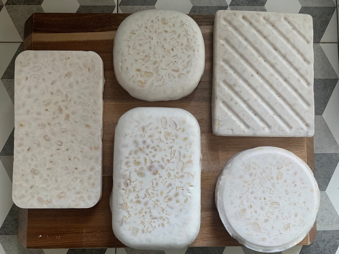 Organic & Biodynamic Tempeh Starter Culture Rhizopus Spores Etsy