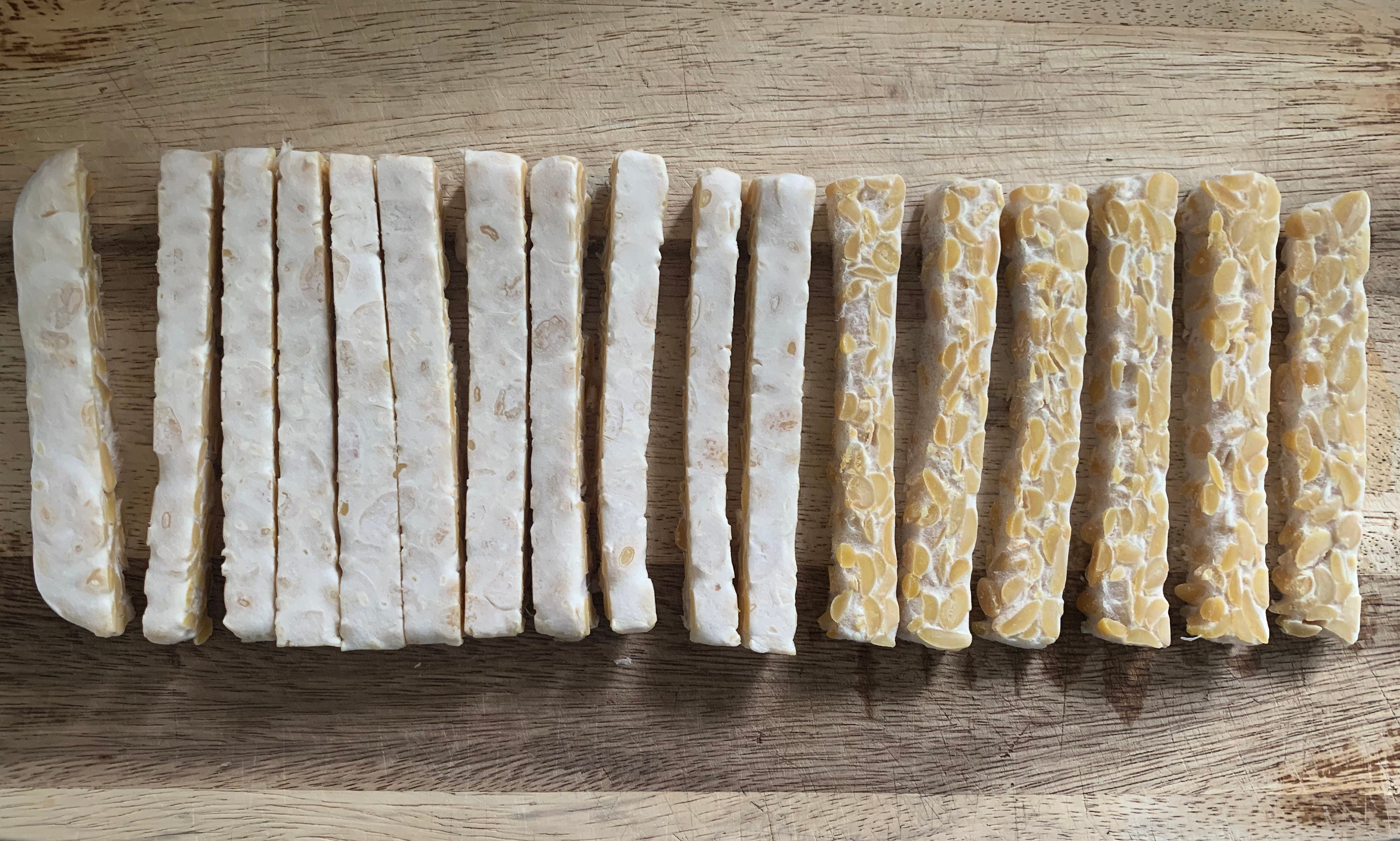 Organic & Biodynamic Tempeh Starter Culture Rhizopus Spores Etsy