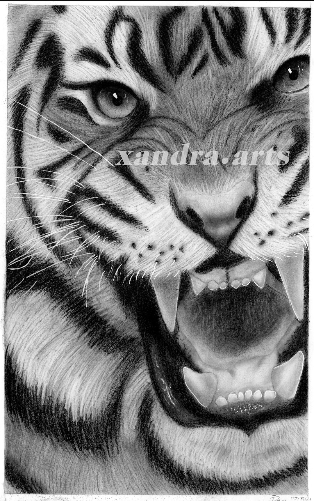 Tiger Art Print Etsy