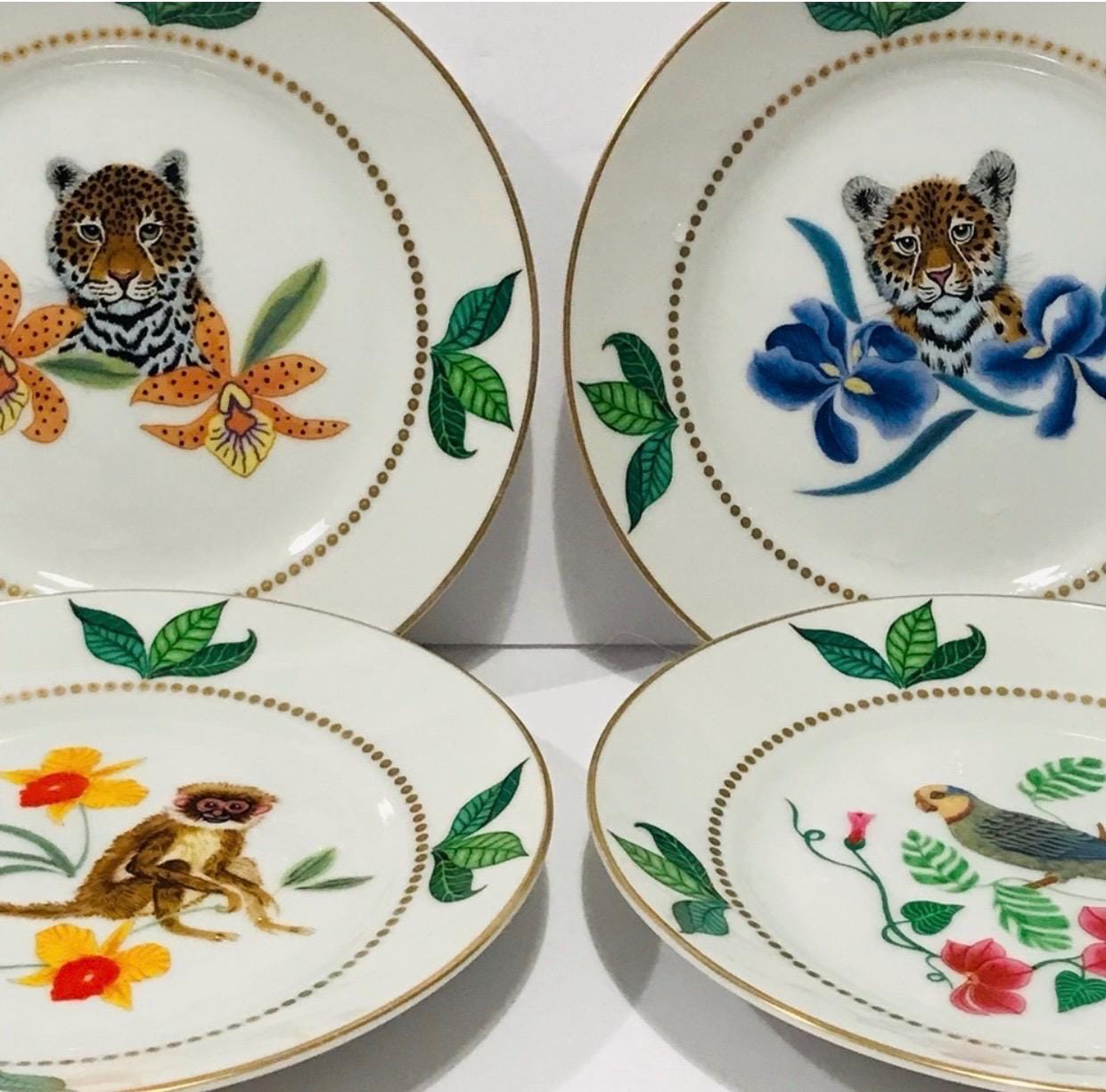 Lynn Parrots of Paradise Chase | - eBay Etsy Chase, Replacements