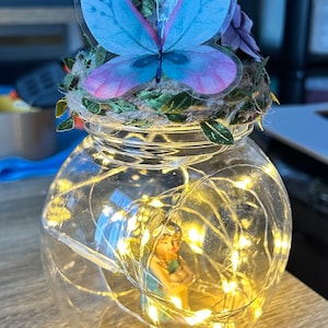 Fairy jar with LED lights