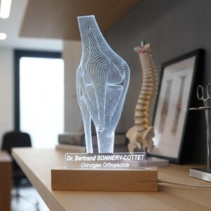 Personalized Orthopedic Lamp | Plexiglas Knee Anatomy | Doctor Gift | Medical Office Decoration | Beech Base |