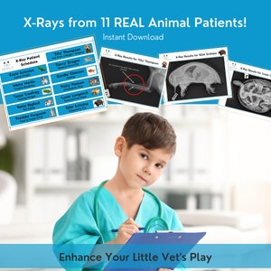 Animal X-Rays for Vet Pretend Play - Perfect Addition to Any Veterinary Dramatic Play Set. Includes Dogs, Cat, Rabbit, Exotics and Wildlife