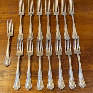 Haddon Plate 15 Piece Dinner Fork Set