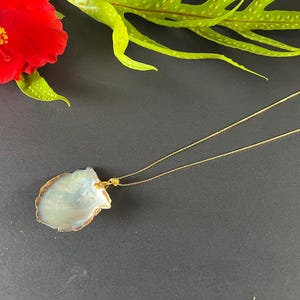 May include: A gold-colored necklace with a pendant shaped like a seashell. The pendant is a light blue color with a brown edge. A red hibiscus flower and green leaves are in the background.