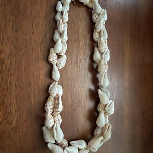 Hawaiianische Muschelkette