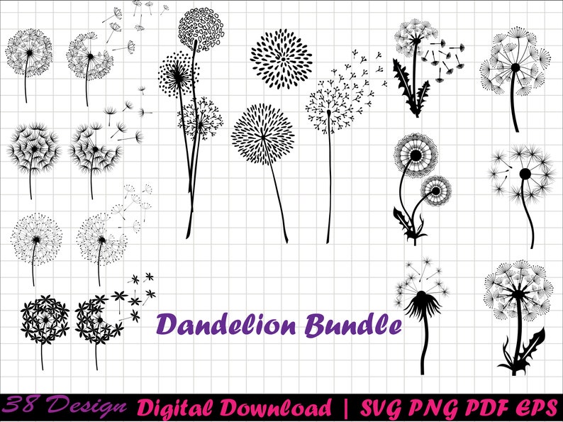 May include: A set of 38 black and white dandelion illustrations. The illustrations are in various stages of bloom, with some showing the seeds blowing in the wind. The text "Dandelion Bundle" is written in purple at the bottom of the image.