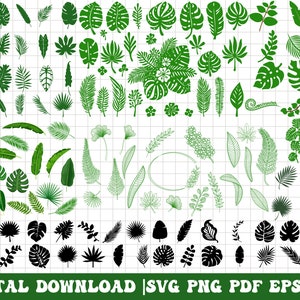Tropical leaves svg, monstera leaf svg clipart, commercial use svg, jungle leaves clipart, palm branch svg, tropical party decor