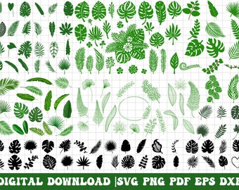 Tropical leaves svg, monstera leaf svg clipart, commercial use svg, jungle leaves clipart, palm branch svg, tropical party decor