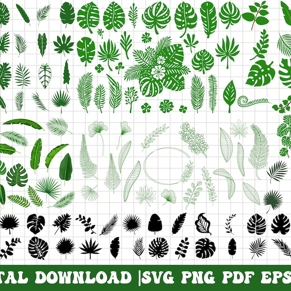 Tropical leaves svg, monstera leaf svg clipart, commercial use svg, jungle leaves clipart, palm branch svg, tropical party decor