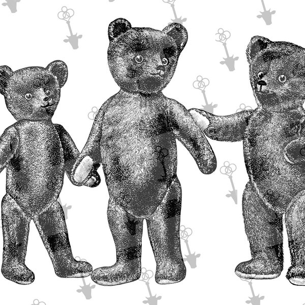 Vintage illustrated Teddy bears PNG & JPEG Digital files download. Toys, sketch