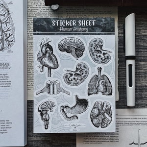 Human Anatomy Sticker Sheet | Anatomy Stickers | Vintage Stationery | Gothic Stickers | Anatomical Drawing | Dark Academia | Dark Planner