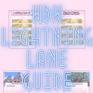 May include: A guide to Disney World's Lightning Lane, with information on how to purchase Lightning Lane passes, what Lightning Lane is, and the different types of experiences available at Magic Kingdom and Animal Kingdom.