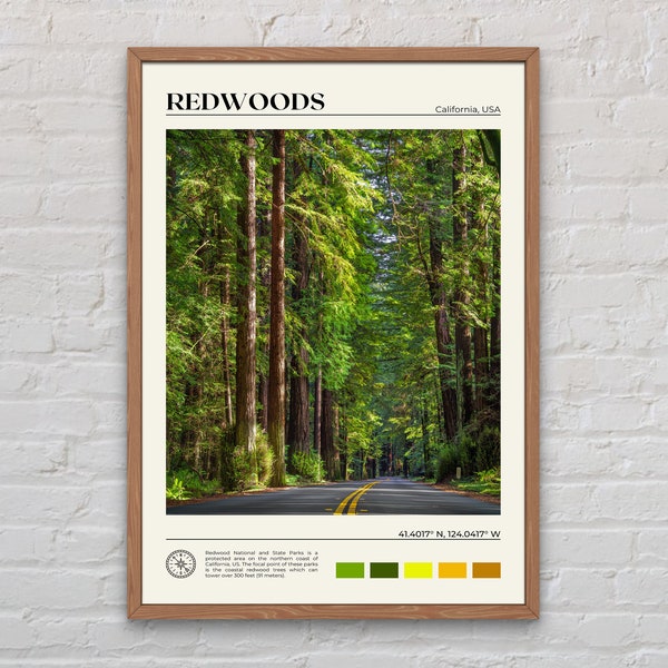 Echte foto, Redwoods Print, Redwoods Wall Art, Redwoods Poster, Redwoods Foto, Redwoods Poster Print, Redwoods Decor, Californië