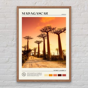 Real Photo, Madagascar Print, Madagascar Wall Art, Madagascar Poster, Madagascar Photo, Madagascar Poster Print, Madagascar Decor
