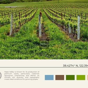 Foto reale, stampa della Napa Valley, arte murale della Napa Valley, poster della Napa Valley, foto della Napa Valley, stampa poster della Napa Valley, decorazioni della Napa Valley immagine 6