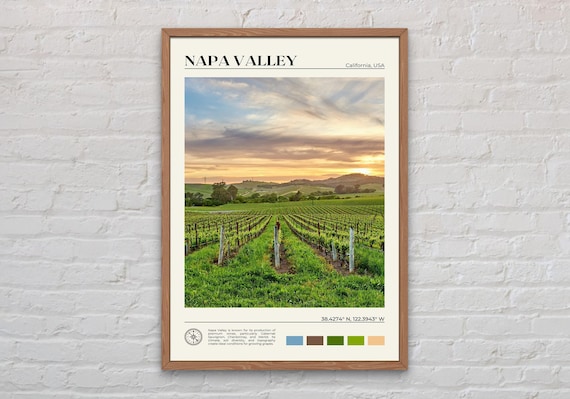 Real Photo, Napa Valley Print, Napa Valley Wall Art, Napa Valley Poster, Napa Valley Photo, Napa Valley Poster Print, Napa Valley Decor