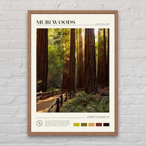 Echtes Foto, Muir Woods National Monument Druck, Muir Woods Wandkunst, Muir Woods Poster, Muir Woods Foto, Muir Woods Dekor, Kalifornien Druck