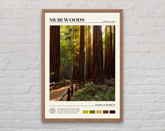 Real Photo, Muir Woods National Monument Print, Muir Woods Wall Art, Muir Woods Poster, Muir Woods Photo, Muir Woods Decor, California Print