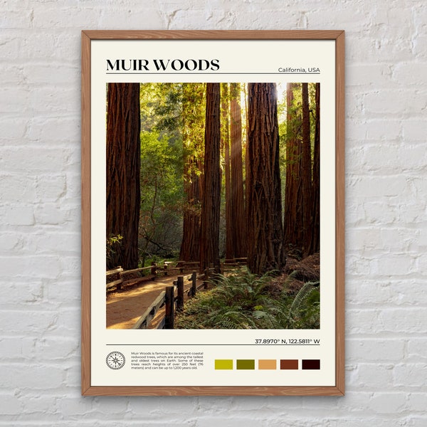 Real Photo, Muir Woods National Monument Print, Muir Woods Wall Art, Muir Woods Poster, Muir Woods Photo, Muir Woods Decor, California Print