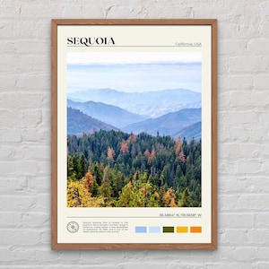 Real Photo, Sequoia National Park Print, Sequoia Wall Art, Sequoia Poster, Sequoia Photo, Sequoia Poster Print, California Poster