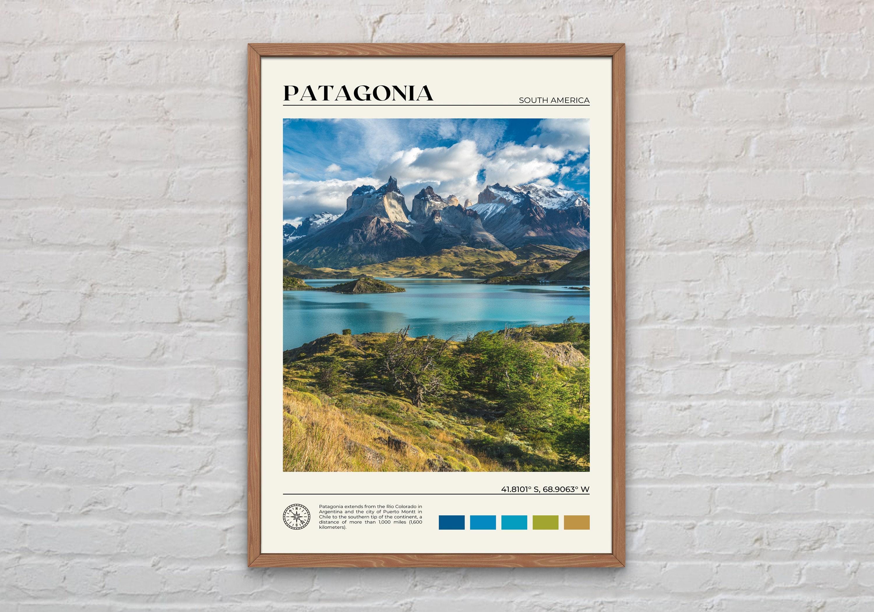Patagonia poster - Etsy 日本