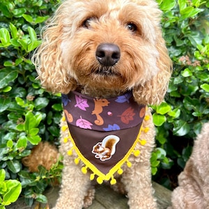 Handmade Dog Bandana: The Squirrel - reversible & adjustable with squirrel patch and choice of colour scheme, optional add on trim