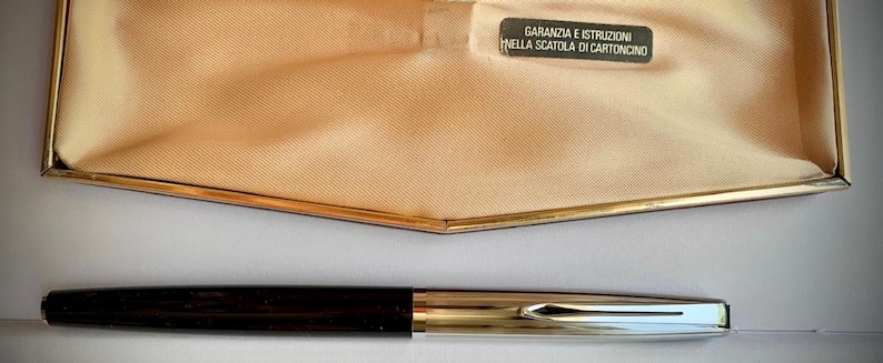May include: A brown and silver fountain pen with a black cap. The pen is lying on a white surface. The text "GARANZIA E ISTRUZIONI NELLA SCATOLA DI CARTONCINO" is printed on a white label.