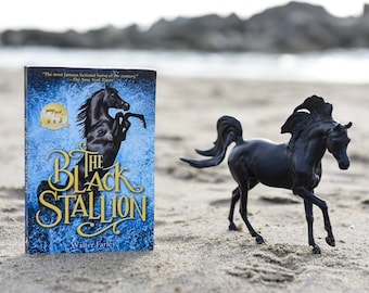 OUT OF STOCK Breyer Horse Classic Black Stallion and Book