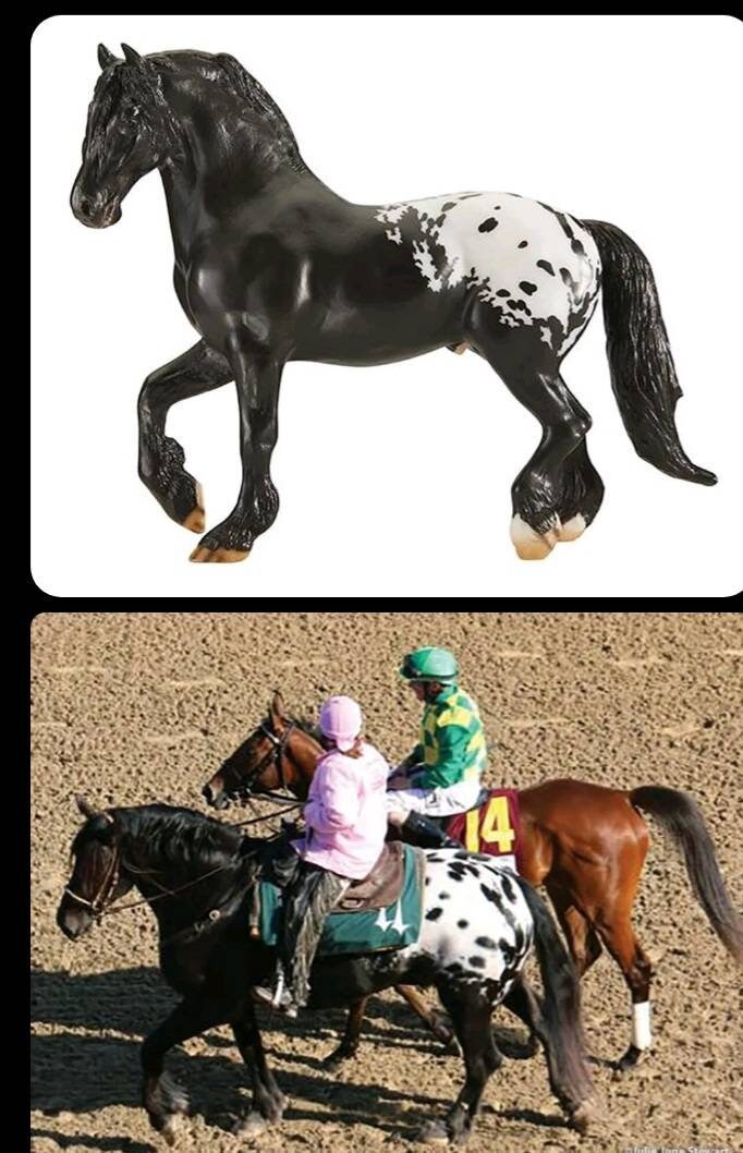 Harley cheap breyer horse