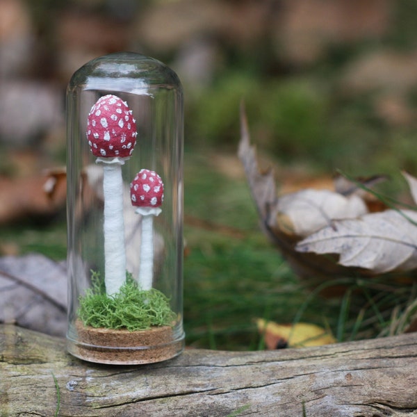 Spun Cotton Mushroom Specimen in Glass Dome - Vintage Inspired Cottagecore Decor