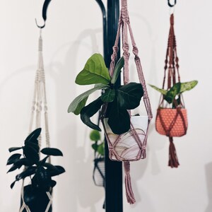 May include: Three macrame plant hangers in different colours and designs. The hangers suspend potted plants from a black metal stand. The plants have green leaves and are in decorative pots. The macrame hangers are in cream, mauve, and rust colours.