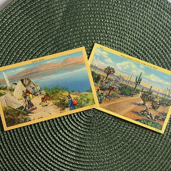 Lot of 2 Vintage UNUSED Original 1940's Linen Postcard, Mid Century Modern Ephemera, Arizona Cacti Species and Apache Indians,  PC#117