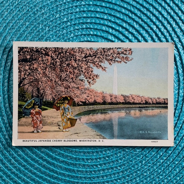 Vintage Original UNUSED Postcard of Cherry Blossoms and Children #129807, Washington DC, Publisher R.J. Reynolds Co., Collectible, PC#102