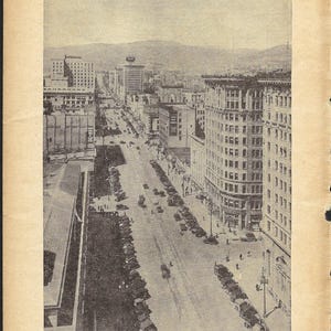 Vintage Book Pages: Encyclopedia & Dictionary Ephemera Pack