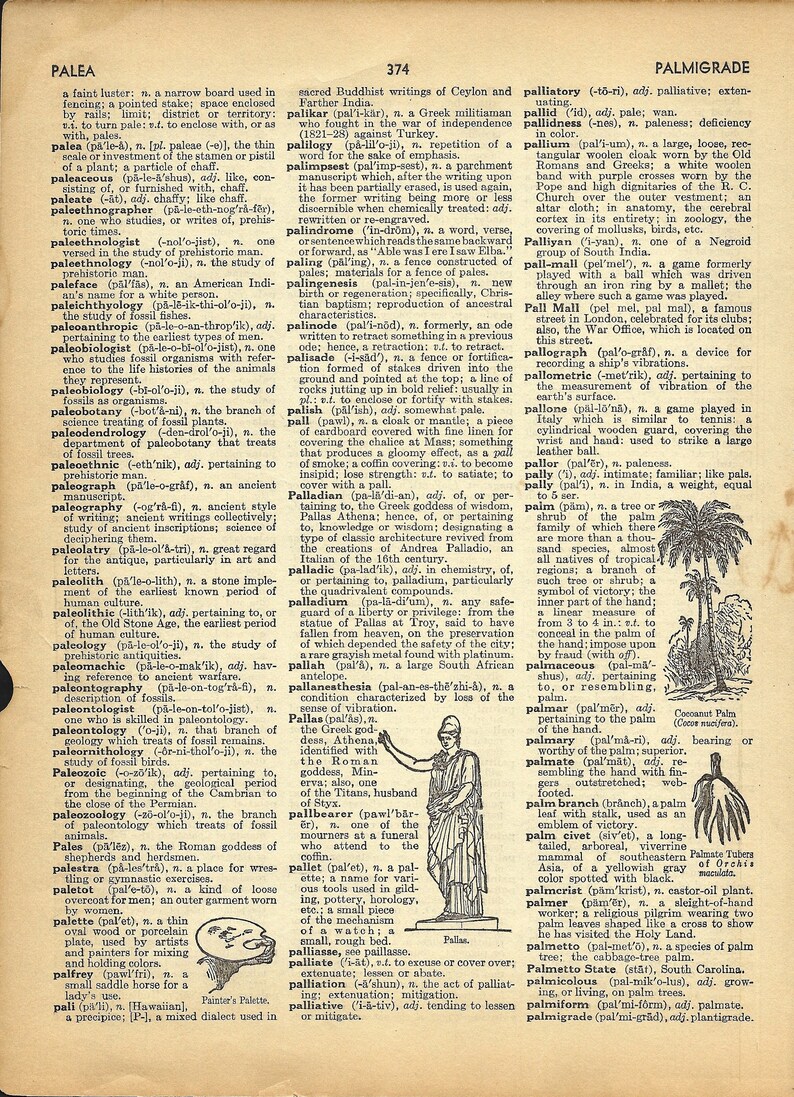 Vintage Dictionary & Encyclopedia Pages / Mixed Bundle / Paper Variety ...