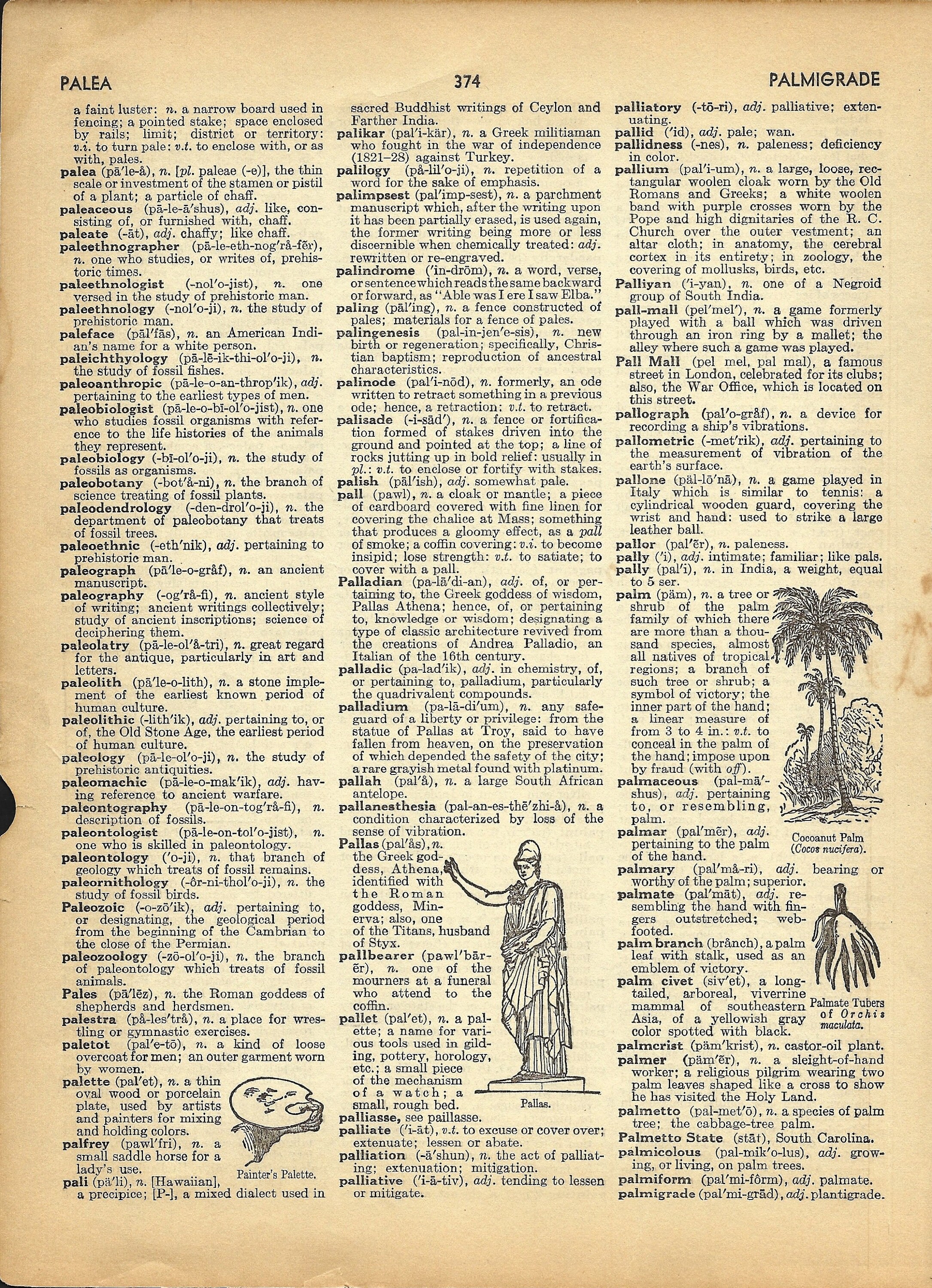 Vintage Dictionary Pages & Unique Encyclopedia Pages Pack