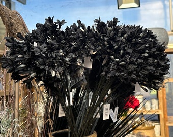 Agapanthus, Black, künstliche Blüte, hochwertige verarbeitet, Farbe: schwarz,  72 cm