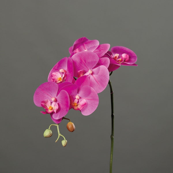 Orchidee Phalaenopsis, Rispe mit 6 Blüten in natürlicher Haptik und 3 Knospen, Material Kunststoff, Farbe: pink