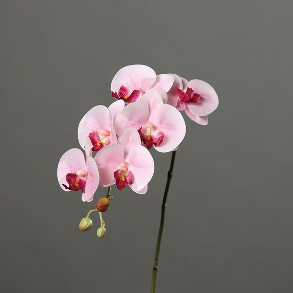 Orchidee Phalaenopsis, Rispe mit 6 Blüten in natürlicher Haptik und 3 Knospen, Material Kunststoff, Farbe: rosa mit dunklem Mitte