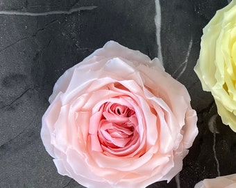 Vela de flor de rosa O'Hara