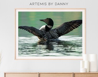 Maine Loon Fotografie Druck: Wildtier Wand Kunst (Digitaldruck)