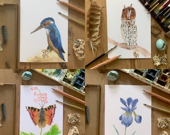 A6 Greetings Cards - 4 different designs of your choice.