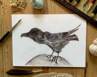Raven Greetings card A6. Pencil and watercolour on paper Age 6