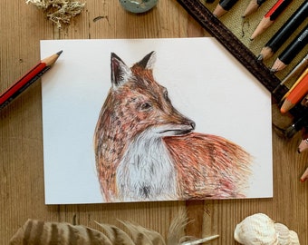 Fox, Greeting Card A6. Coloured Pencil on paper Aged 7