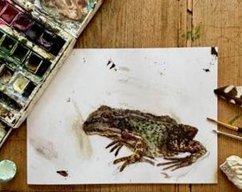 Common frog and splotches, A5 Greeting Card, Painted age 9
