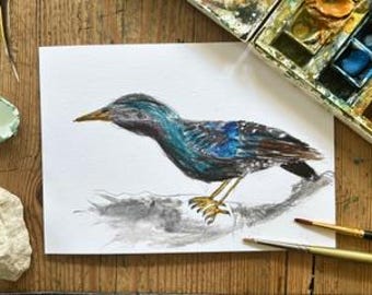 Starling, A6 Greetings Card, Pencil and watercolour, Painted age 6