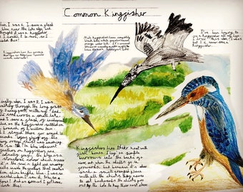 Kingfisher notes,  A5 greeting card,