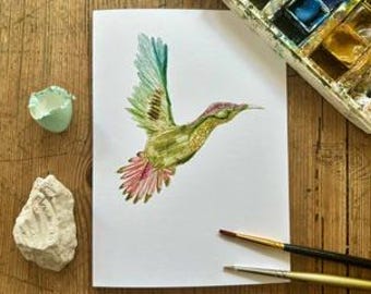 Sunbird, A6 Greetings Card, Pencil and coloured pencil, Drawn aged 6